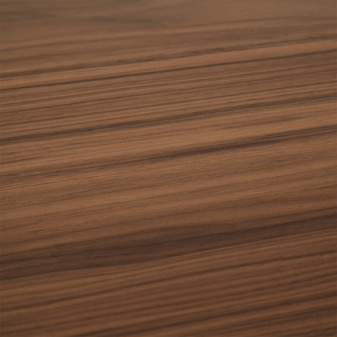 SEB OVAL DINING TABLE 6 Seater in Walnut by GlobeWest at Darling & Domain