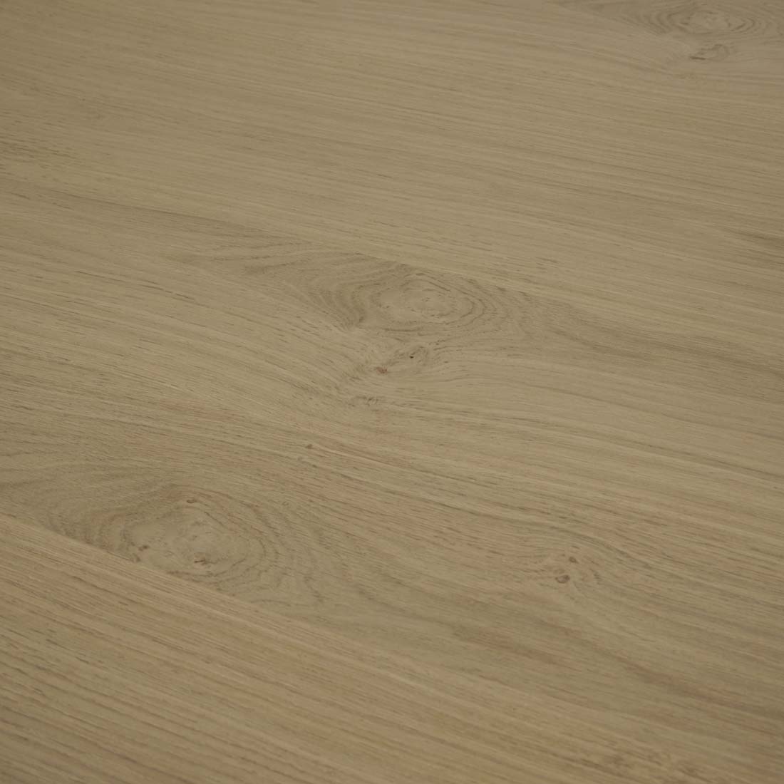SEB OVAL DINING TABLE 8 Seater in Oak by GlobeWest at Darling & Domain