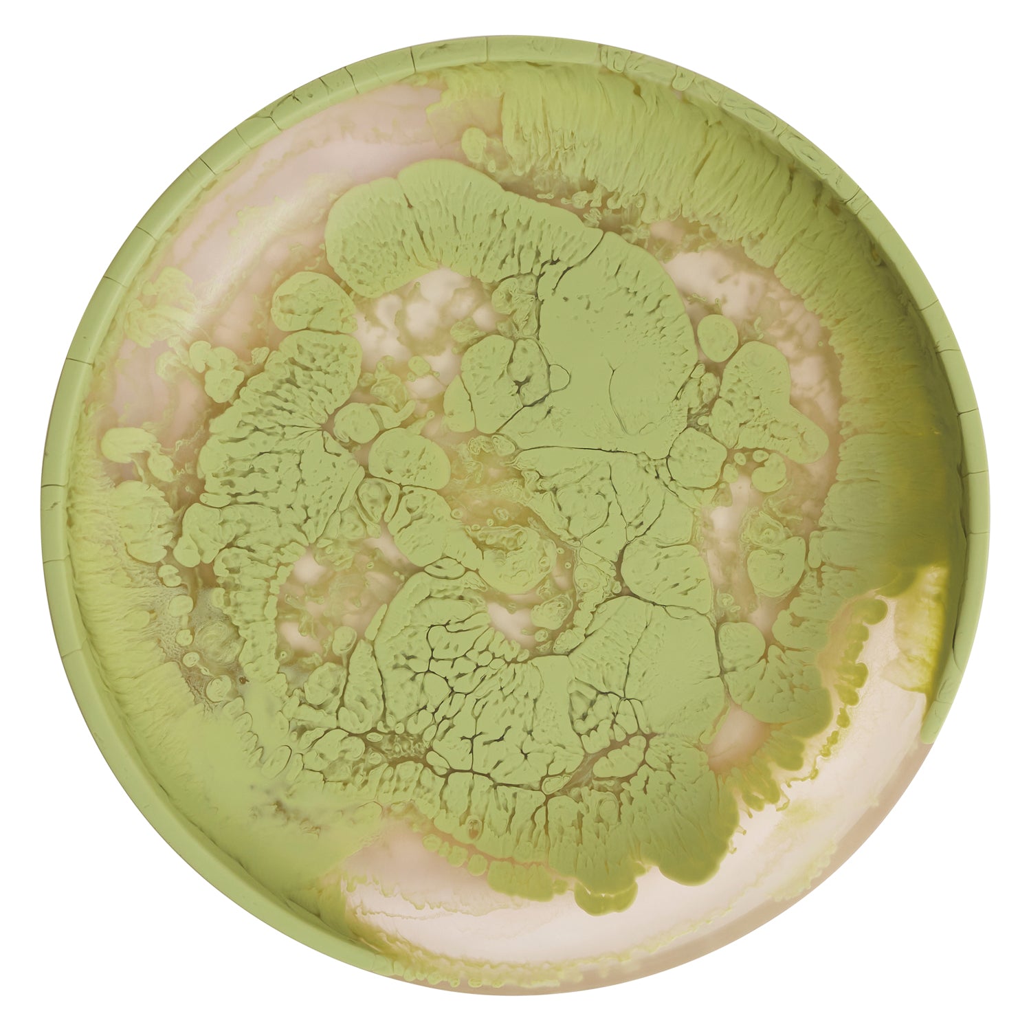 MEDINA PLATTER in Pistachio from Sage x Clare