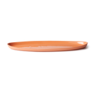 FISH PLATTER in Orange by Mud Australia