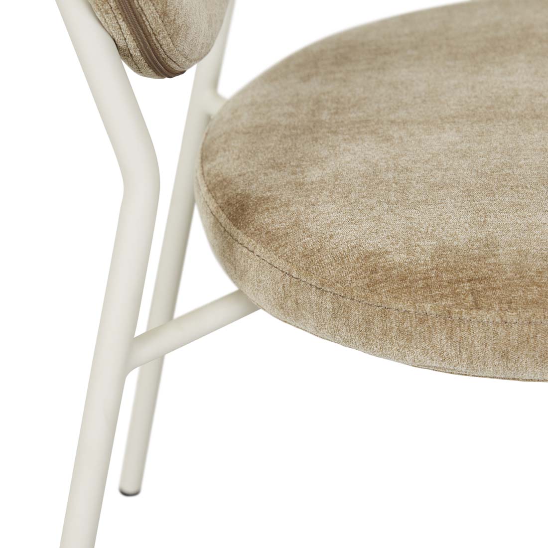 LAYLAH LOOP DINING CHAIR in Dijon-Matt Bone by GlobeWest at Darling & Domain