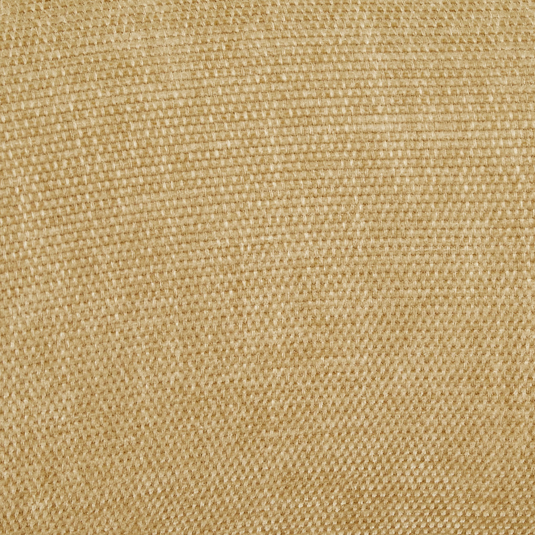 PICCOLO CANTILEVER DINING CHAIR in Copeland Honey / Matt Bone by GlobeWest at Darling & Domain