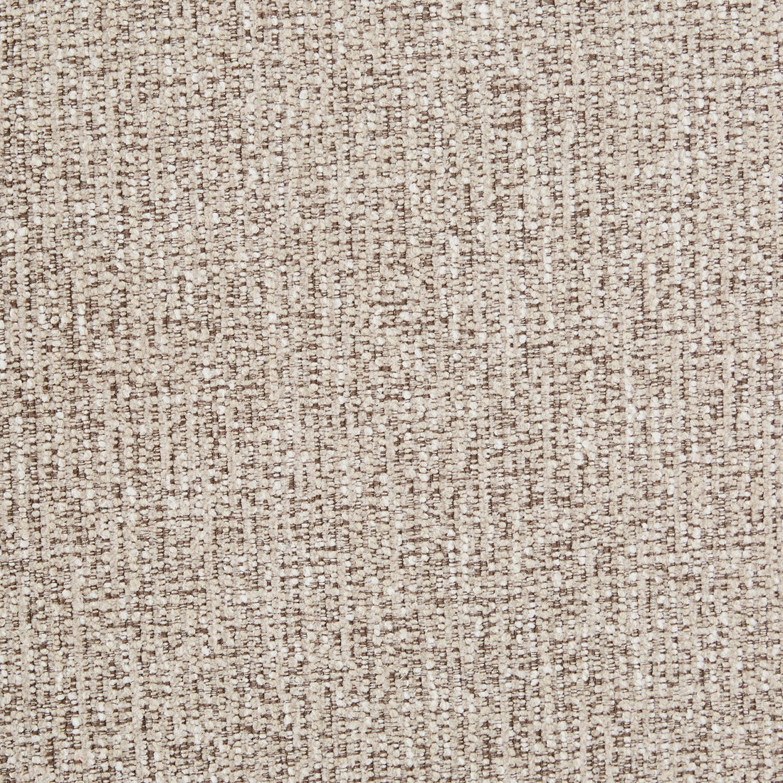 TOBI OCCASIONAL CHAIR in Owl Speckle by GlobeWest at Darling & Domain