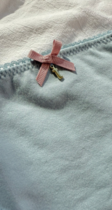 COTTON BIKINI UNDERWEAR in Picot Edge Dusty Blue by teysha