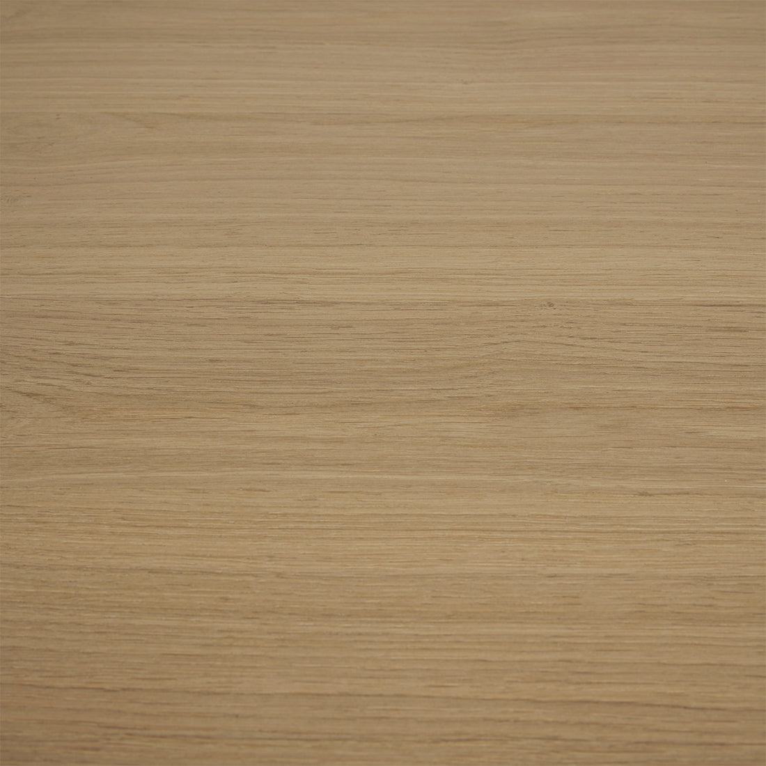 SEB OVAL DINING TABLE 6 Seater in Oak by GlobeWest at Darling & Domain