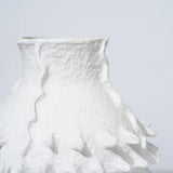 COTTON MACHE SEAPOD VESSEL | Moonlight