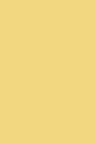 MUSTARD MADE | The Collector | Butter - Darling & Domain