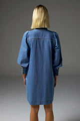 ELOCUTION DRESS in Light Washed Denim from Zoe Kratzmann