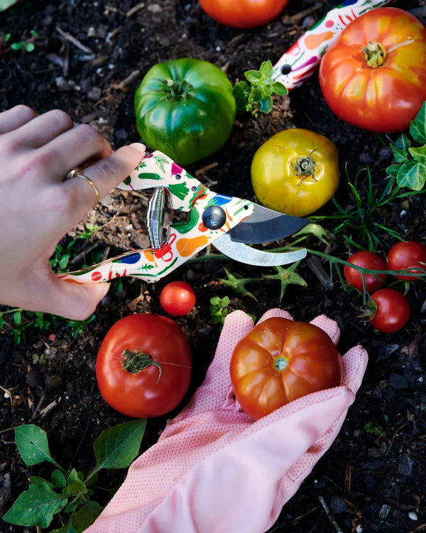 KIP & CO x STEPHANIE ALEXANDER | Harvest Garden Secateurs & Gloves