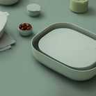 STYLEWARE NESTING TRAY 2-PIECE SET in Eucalyptus