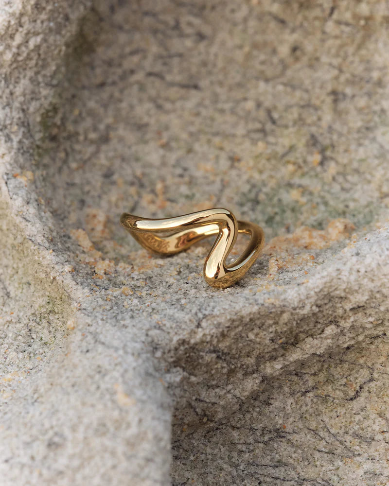 FLOW OF LIFE RING in 18K Gold Vermeil from By Charlotte
