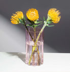 WAVE VASE in  Pink from Fazeek