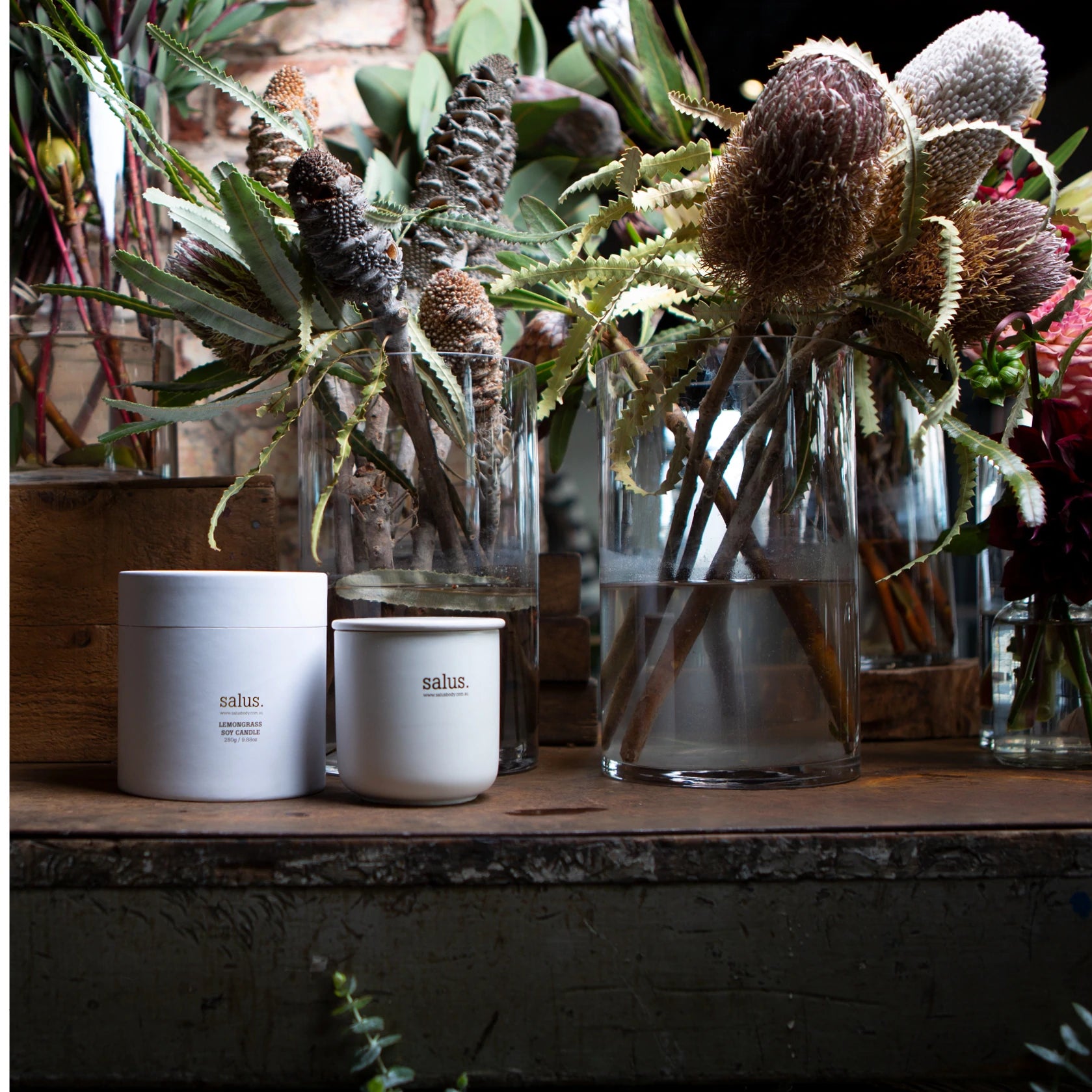 SALUS SOY CANDLE | Lemongrass - Darling & Domain